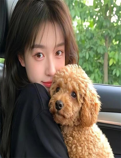 乐高好朋友四姐妹的幸福生活观众口碑：真实观影反馈与评价汇总，中文字幕